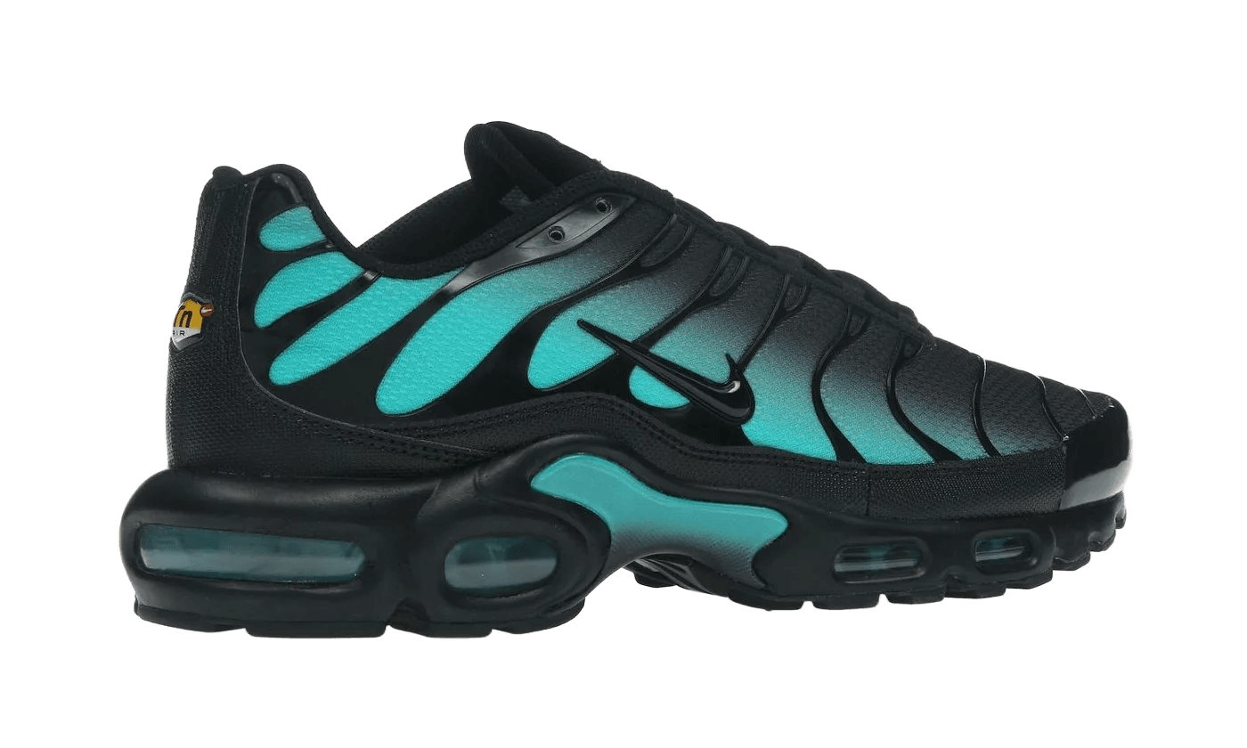 Nike Air Max Plus Black Dusty Cactus - DM0032-016