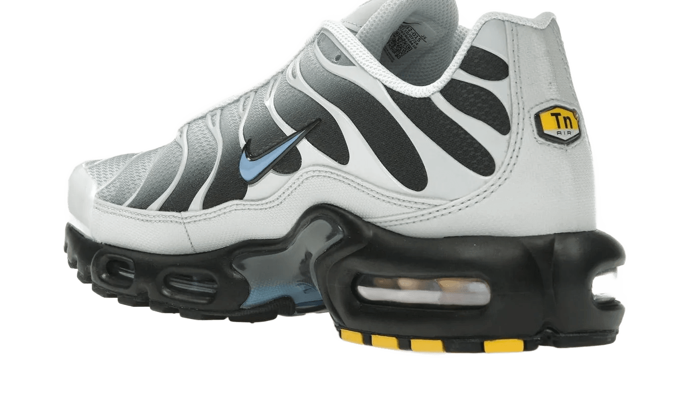 Nike Air Max Plus Grey University Blue Black - DM0032-015