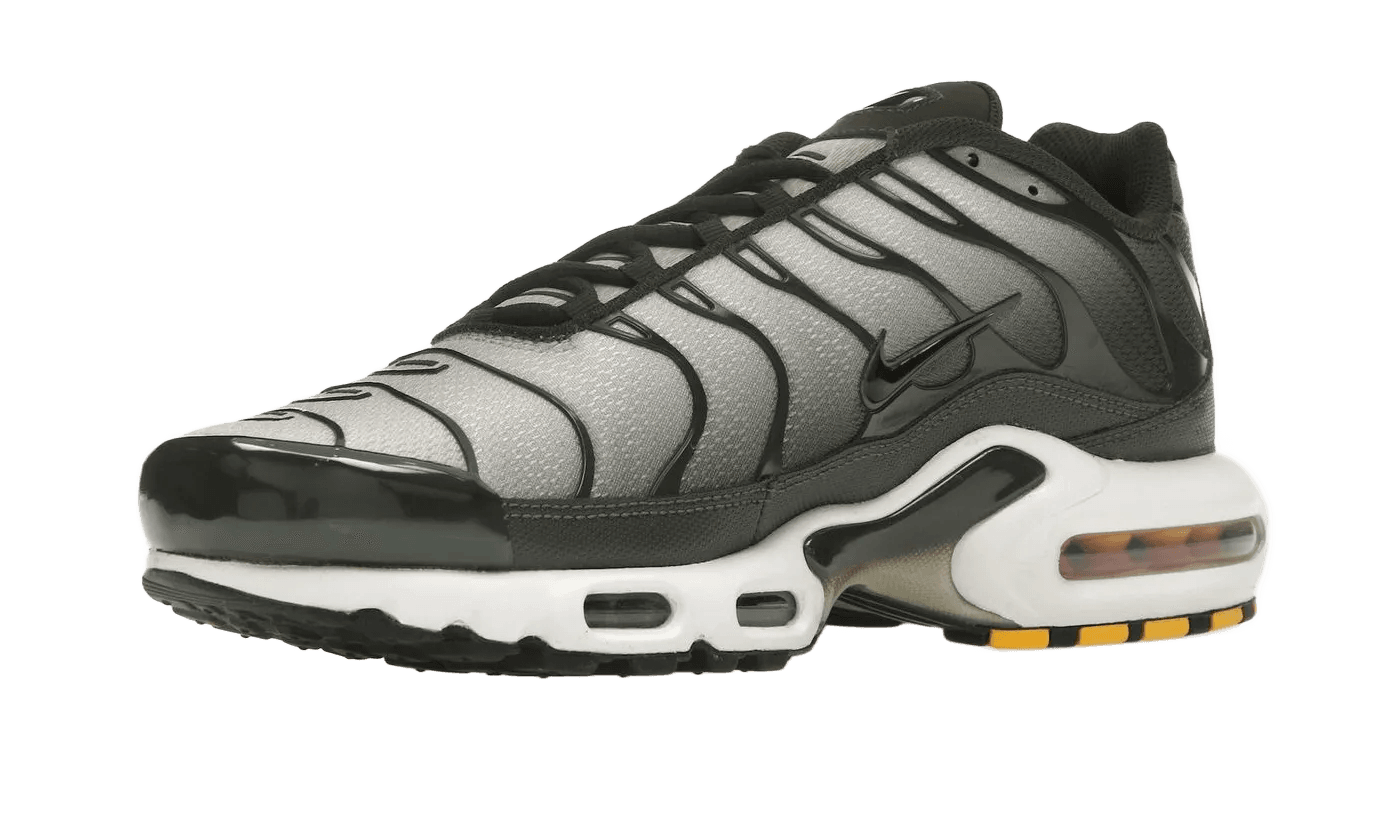 Nike Air Max Plus Sequoia Cargo Khaki - DM0032-300